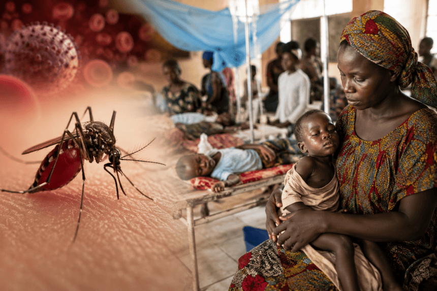DRC Reports 26 Million Malaria Cases in 2025