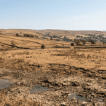 England’s Landscape Wilts as Heatwaves Leave Countryside Parched