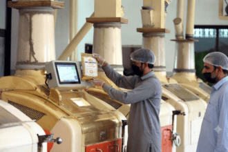 Wheat and Flour Prices Rise Across Pakistan Despite 4.3pc Increase in Production and Planned Imports