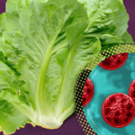 Food Safety Outbreaks Put Pressure on US Restaurant Chains