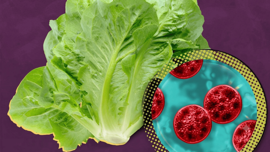 Food Safety Outbreaks Put Pressure on US Restaurant Chains