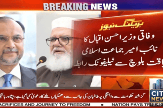 Ahsan Iqbal Offers JI Briefing Amid Protest Over Petrol Prices, Petroleum Levy