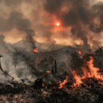 El Niño Returns: Indonesia’s Forests Face Extreme Fire Risk