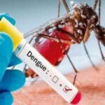 KP Steps Up Dengue Awareness as Cases Rise