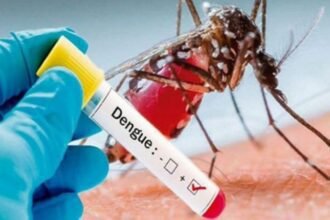 KP Steps Up Dengue Awareness as Cases Rise