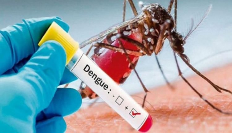 KP Steps Up Dengue Awareness as Cases Rise