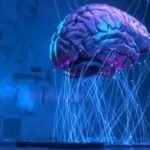 Lab-Grown Brain Organoids Set Longevity Record
