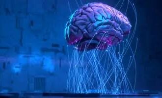Lab-Grown Brain Organoids Set Longevity Record