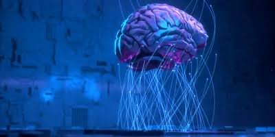 Lab-Grown Brain Organoids Set Longevity Record