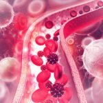 Nicotine’s Hidden Attack on Blood Vessels