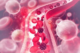 Nicotine’s Hidden Attack on Blood Vessels