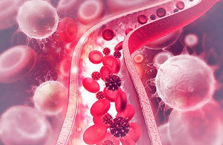 Nicotine’s Hidden Attack on Blood Vessels