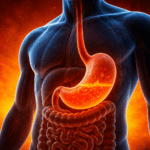 Why Does Your Stomach Produce Acid?