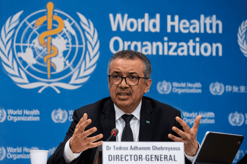 WHO warns of Gaza health collapse as winter rains approach