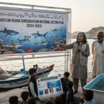Pakistan’s 10-year shark conservation plan: A race to save marine biodiversity
