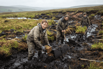 The slow, muddy work of saving ancient bogs