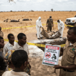 Zambians warned not to eat dead wildlife after anthrax kills dozens of animals