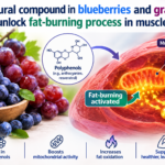 Blueberries & Grapes: The Natural Compound That May Help Activate Fat Burning