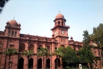 Punjab University Announces Results for Multiple Degree Programmes