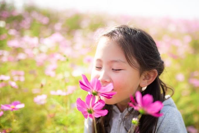 Scientists Call for Smell Education to Boost Children’s Wellbeing