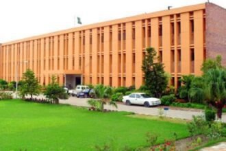Sindh Agriculture University Suspends Classes After Violent Clashes Leave 11 Injured